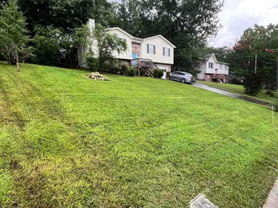 Lawn Care service in Pinson, 35126