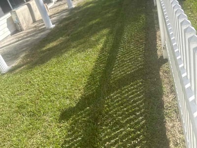 Lawn Care service in Stoughton, 02072
