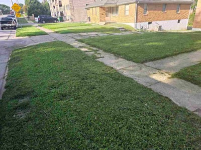Lawn Care service in Marion, 62959