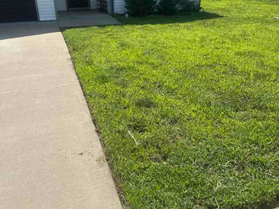 Lawn Care service in Sevierville, 37862