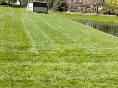 Lawn Care service in Webster, 14580