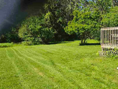 Lawn Care service in Syracuse, 13202