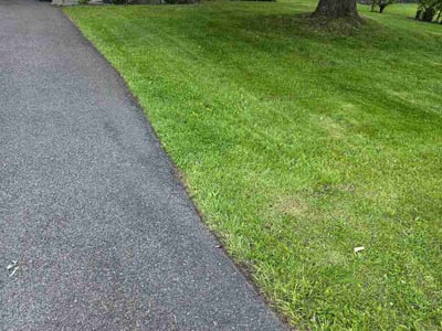 Lawn Care service in Syracuse, 13202
