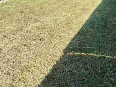 Lawn Care service in Big Bear Lake, 92315