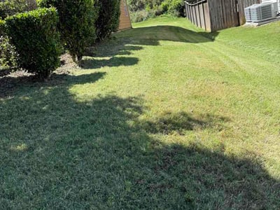 Lawn Care service in Union City, 30291