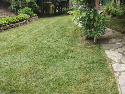 Lawn Care service in Clyde, 28721