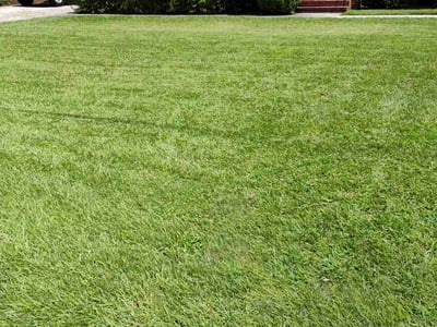 Lawn Care service in Moncks Corner, 29461