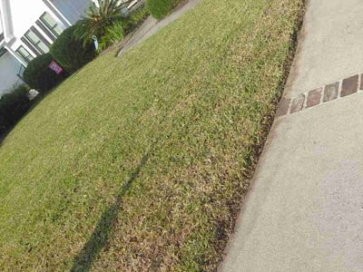 Lawn Care service in Saint Simons Island, 31522
