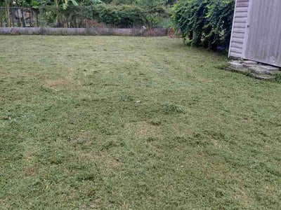 Lawn Care service in Saint Simons Island, 31522