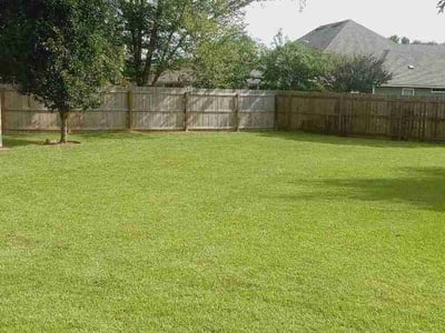 Lawn Care service in Saint Simons Island, 31522