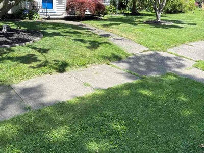 Lawn Care service in Canandaigua, 14424