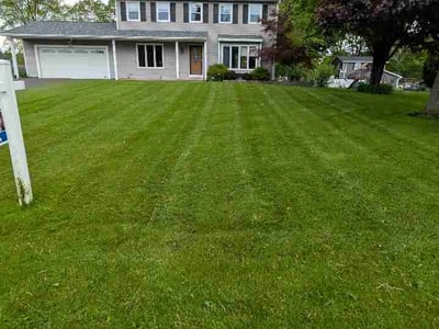 Lawn Care service in Canandaigua, 14424