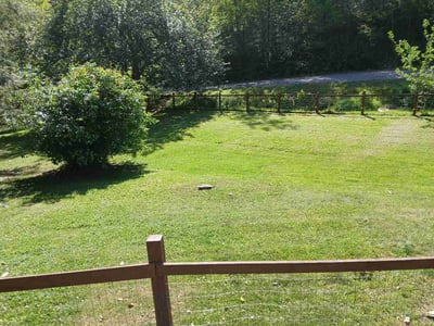 Lawn Care service in Black Mountain, 28711