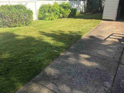 Lawn Care service in North Tonawanda, 14120