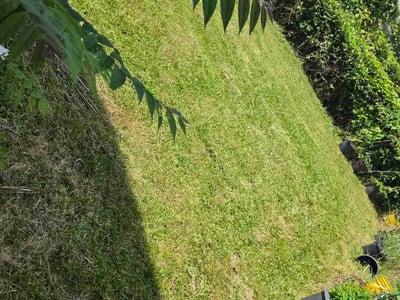 Lawn Care service in North Tonawanda, 14120