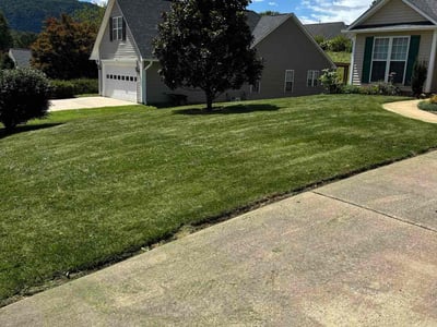 Lawn Care service in Black Mountain, 28711