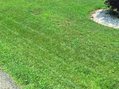 Lawn Care service in Steubenville, 43952