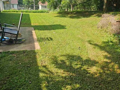 Lawn Care service in Rex, 30273