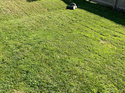 Lawn Care service in Carbondale, 62901