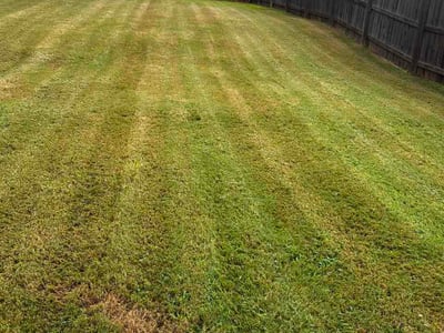 Lawn Care service in Locust Grove, 30248