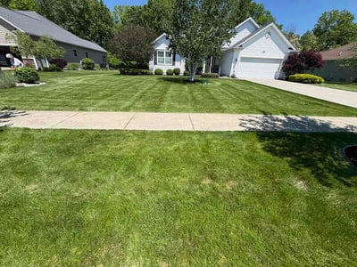 Lawn Care service in Grand Island, 14072