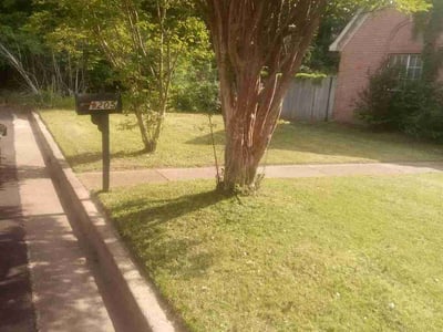 Lawn Care service in Ridgecrest, 93555