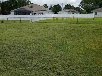 Lawn Care service in Palm Harbor, 34683