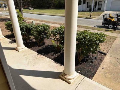 Lawn Care service in ,