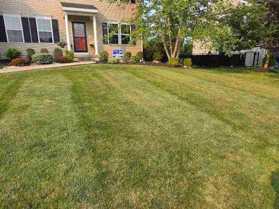 Lawn Care service in Hamburg, 14075
