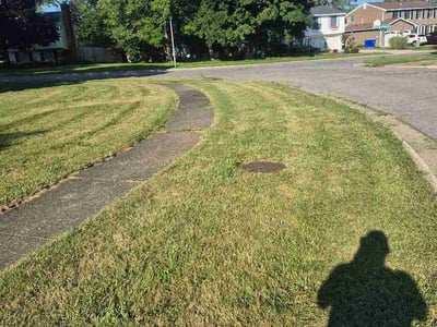 Lawn Care service in Hamburg, 14075