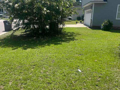 Lawn Care service in Ladson, 29456
