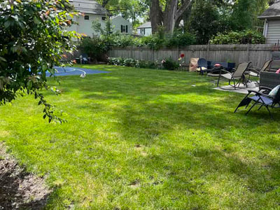 Lawn Care service in Arlington Heights, 60004