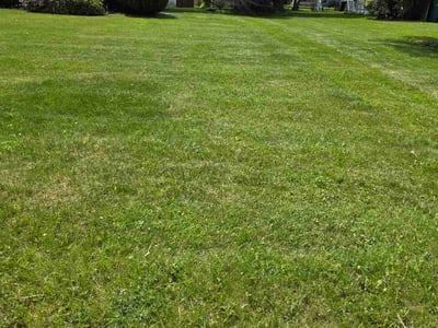 Lawn Care service in Irondeqoit, 14622