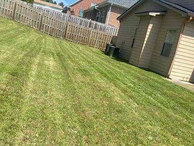 Lawn Care service in Garden City, 11530