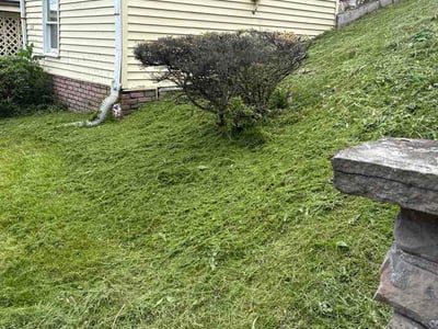 Lawn Care service in Latrobe, 15650