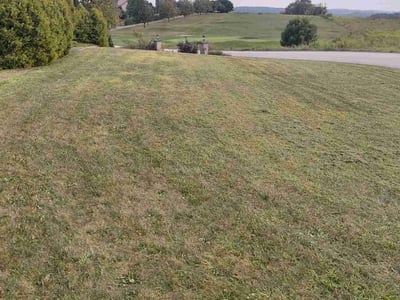 Lawn Care service in Latrobe, 15650