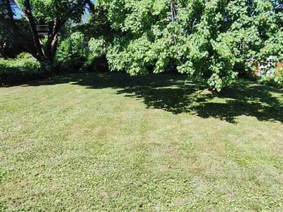 Lawn Care service in Penfield, 14526