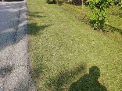 Lawn Care service in West Newton, 15089