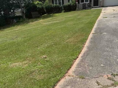 Lawn Care service in Peachtree City, 30269