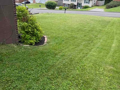 Lawn Care service in Monroeville, 15146