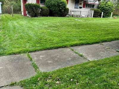Lawn Care service in Jamestown, 14701