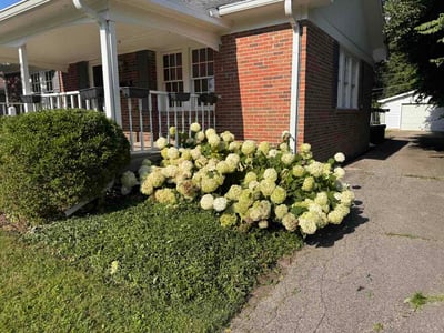 Lawn Care service in Waynesboro, 17268