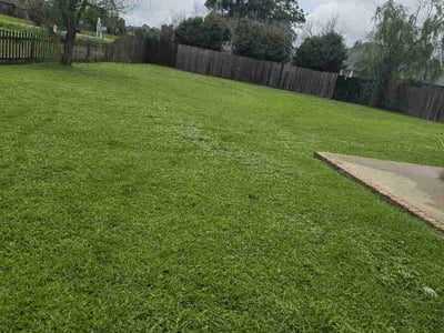 Lawn Care service in Pineville, 71360
