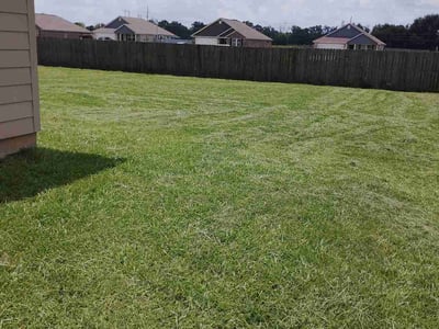 Lawn Care service in Pineville, 71360