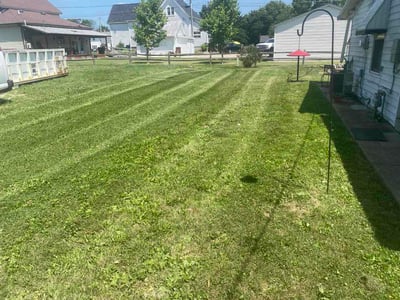 Lawn Care service in Springfield, 45502