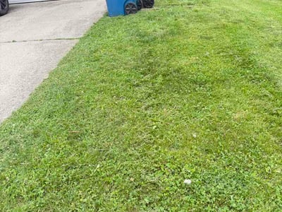 Lawn Care service in Vineland, 08360
