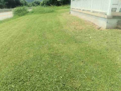 Lawn Care service in ,