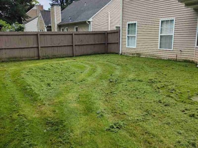 Lawn Care service in Toney, 35773