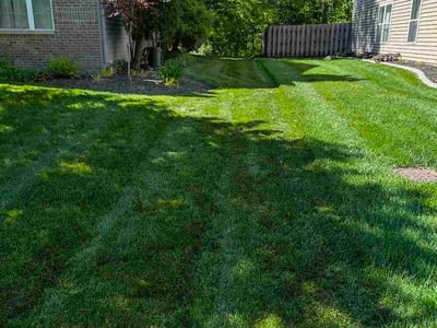 Lawn Care service in Beckley, 25813
