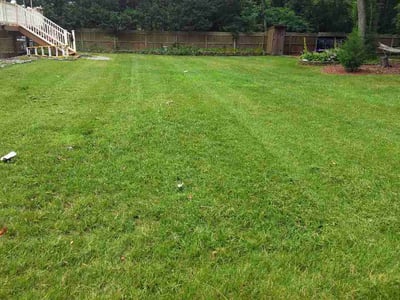 Lawn Care service in South Brunswick, 08852